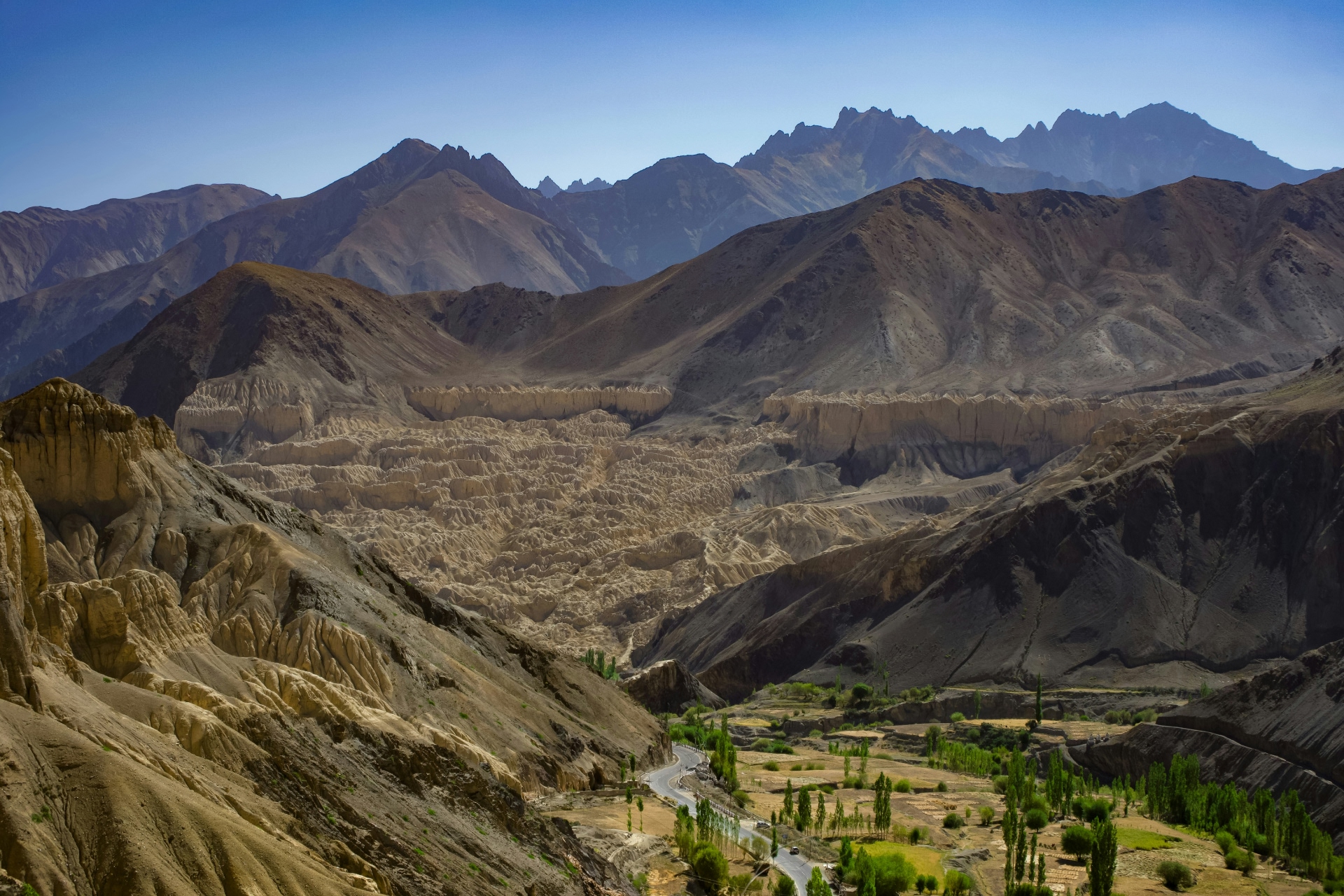 ashish-kumar-senapati-8ANUD8ekt50-unsplash