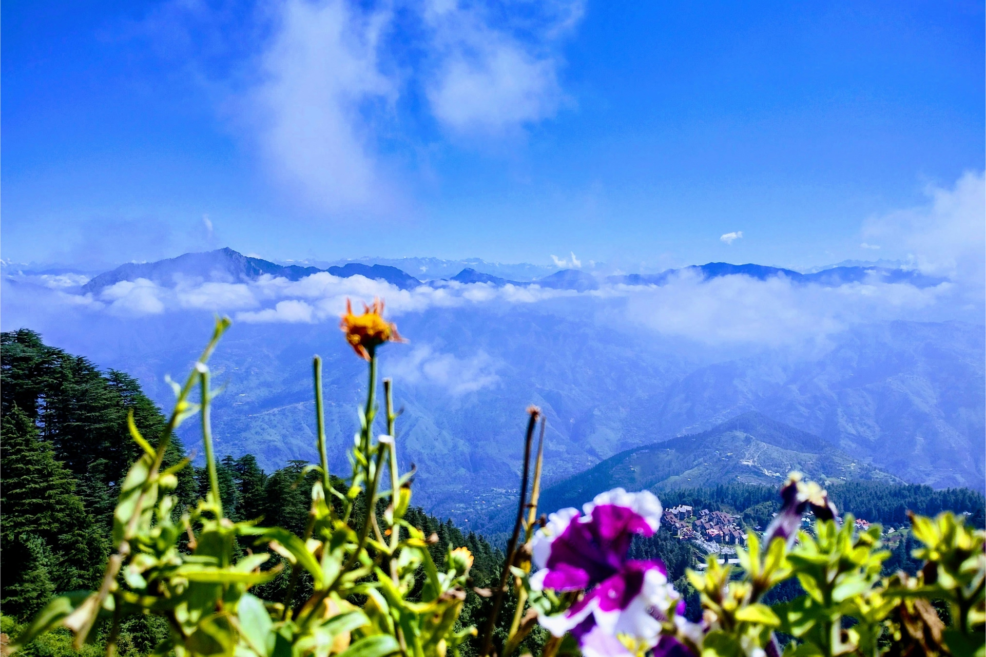 calvin-dsouza-5b-GqWrXSmE-unsplash
