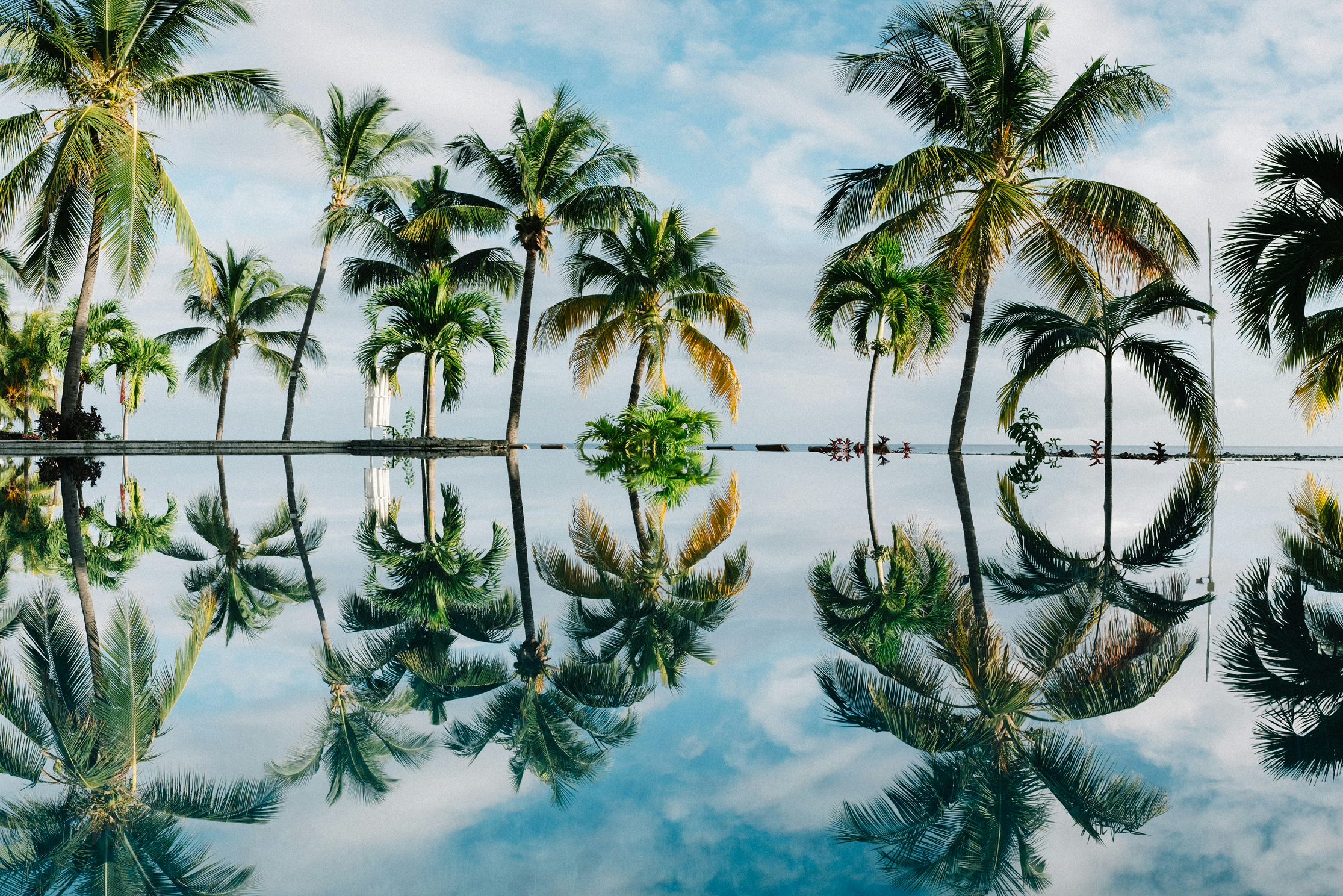 dan-freeman-wAn4RfmXtxU-unsplash 1