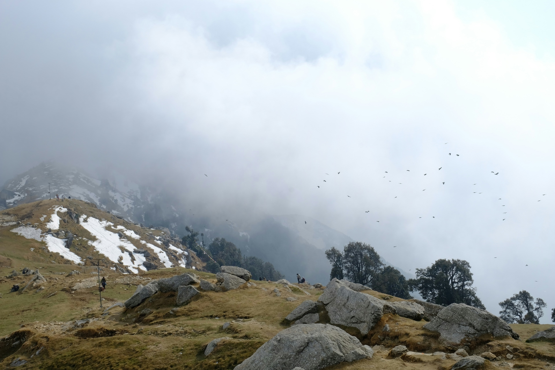 dharamkot-studio-INI_9otEirg-unsplash