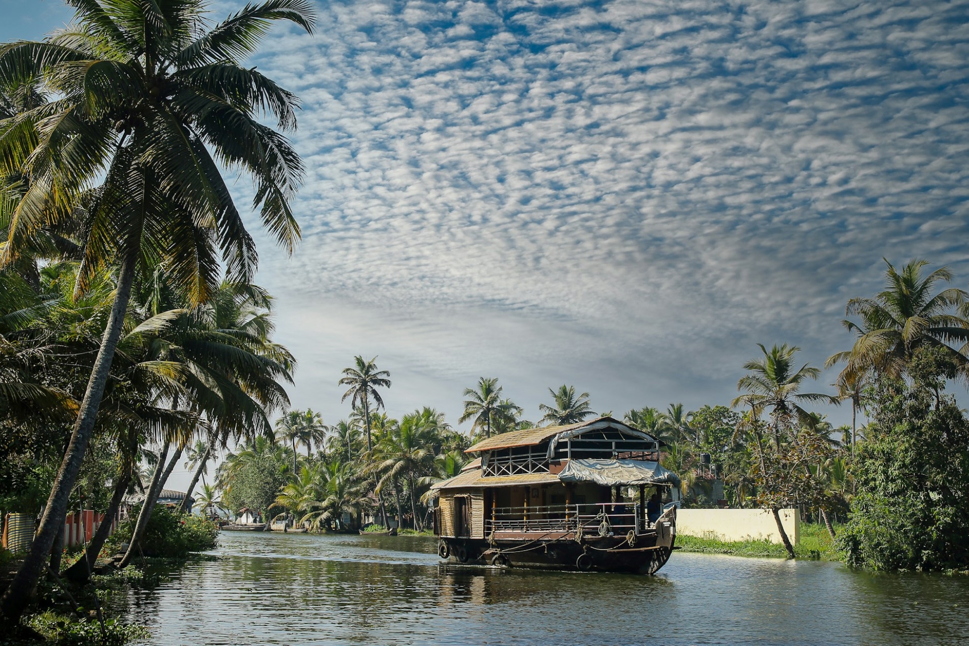 dileep-m-rv5ddI1WyCw-unsplash