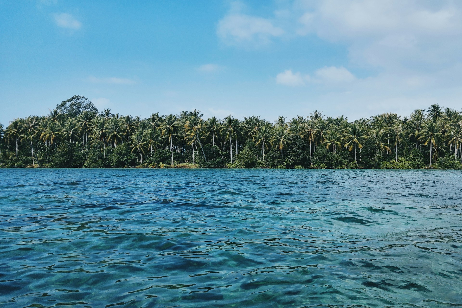 fidelia-zheng-m7SMDQpEVew-unsplash