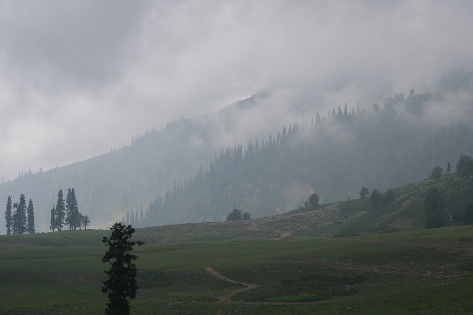 isha-ralhan-NJEl1nnUkcs-unsplash