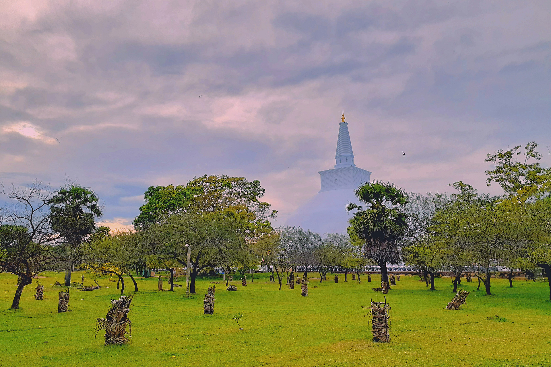 izuru-kannagara-UeSfcl4xreE-unsplash