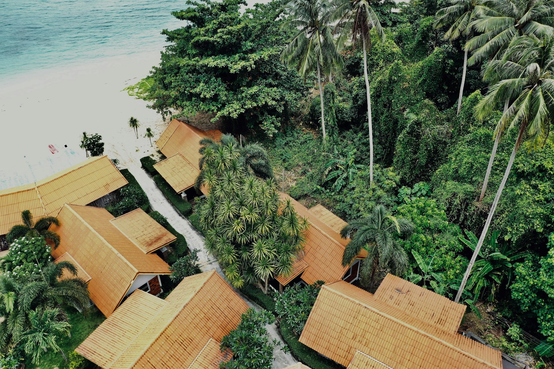 kla-aphimuk-eMZpB9tvxXA-unsplash