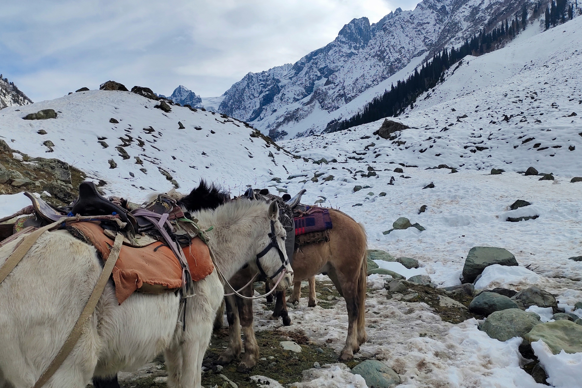 manoj-sai-ram-TW-hcOCyeuw-unsplash
