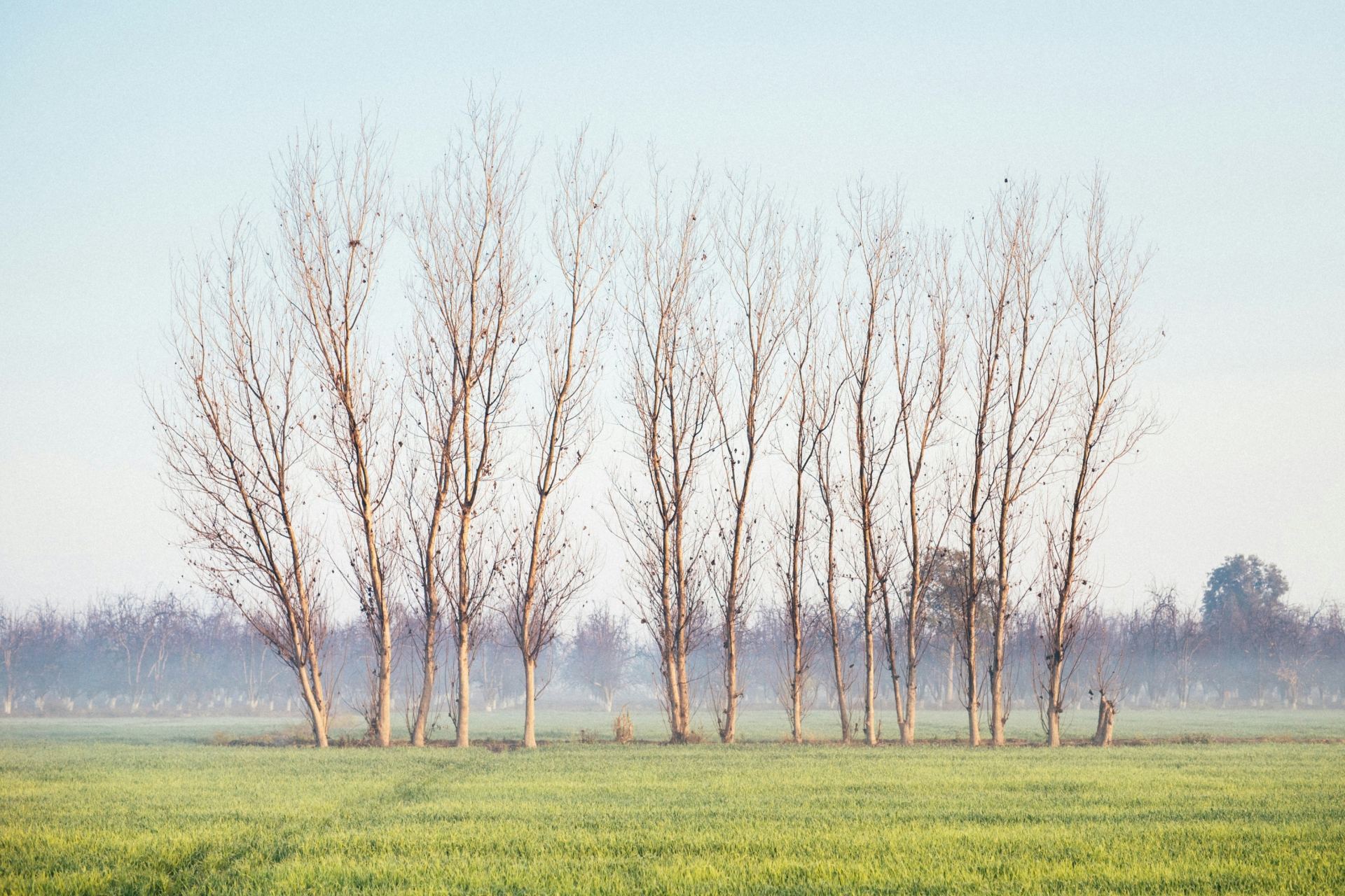 parker-hilton-y_kWy_1K5B8-unsplash