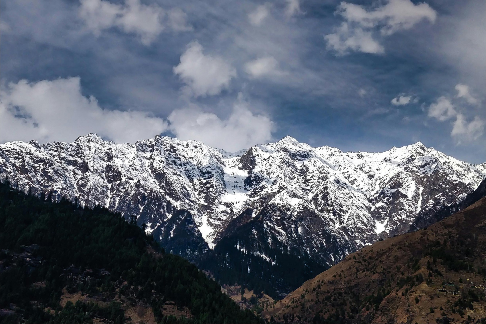 pexels-shreyas-kc46-944363