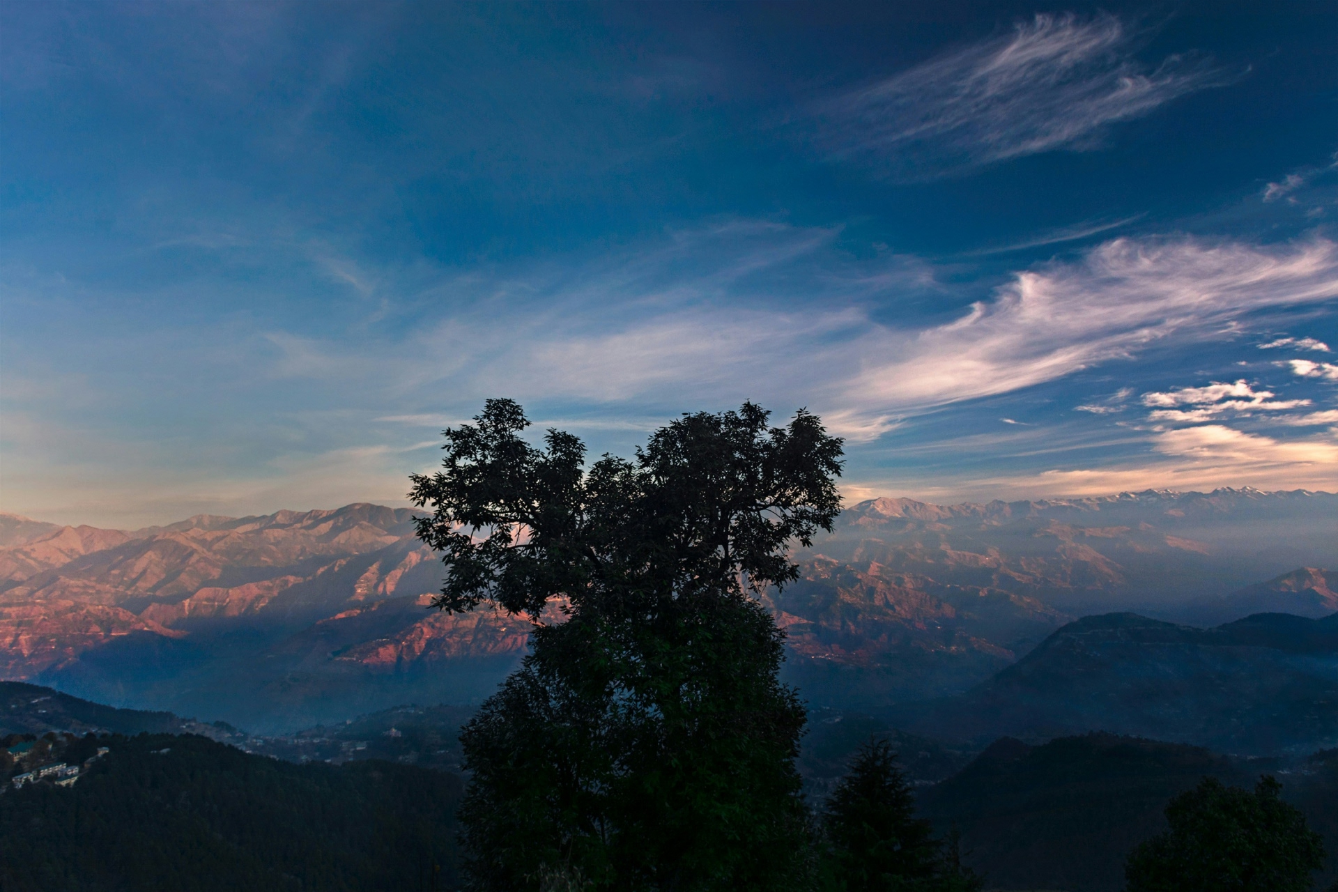 pritam-das-biswas-G60P0WDul70-unsplash