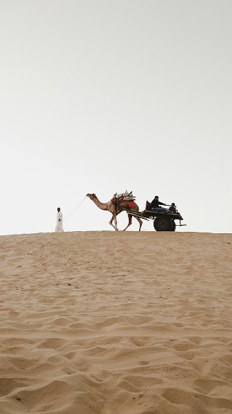Thar Desert