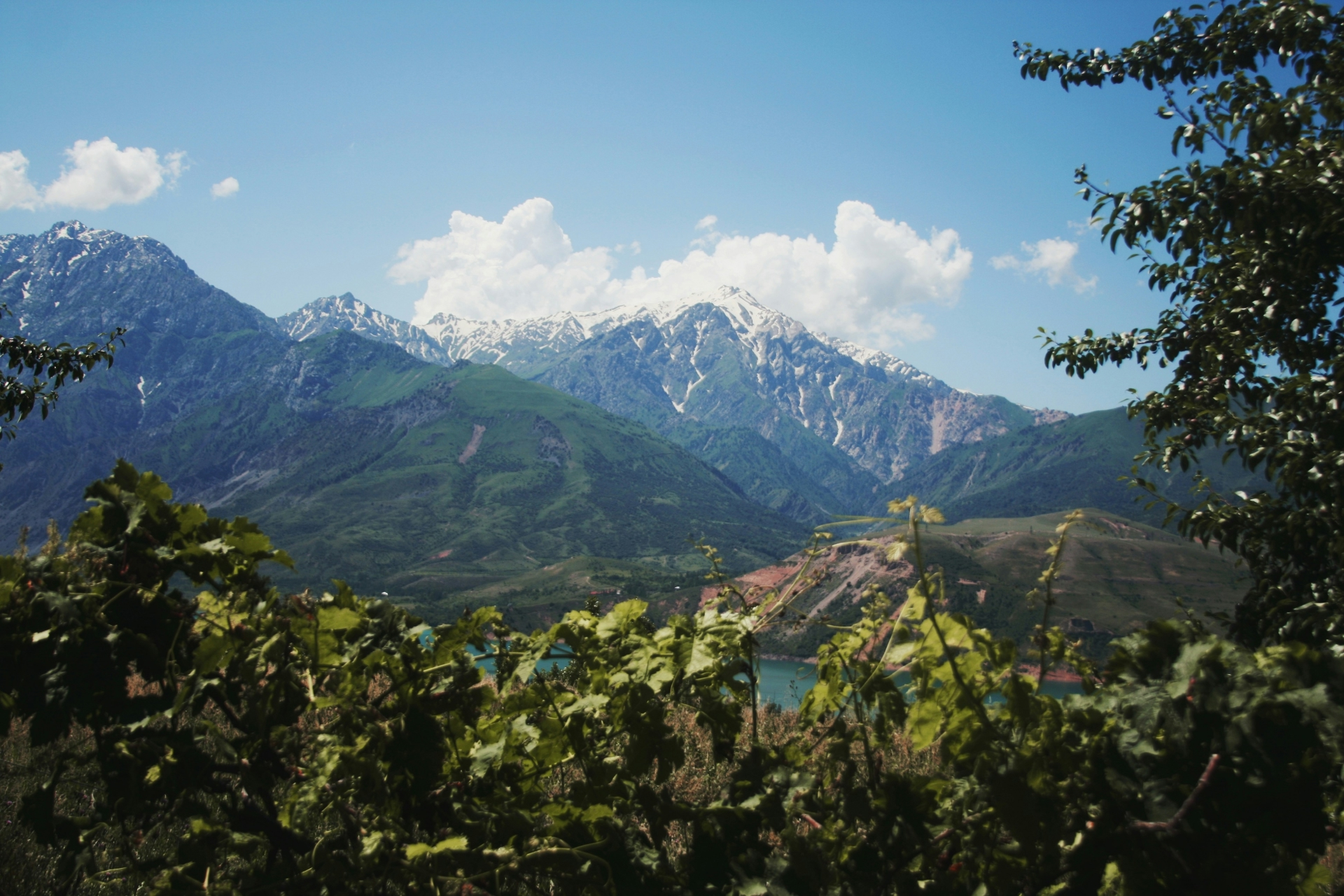 artem-bryzgalov-uDa7num4wvY-unsplash