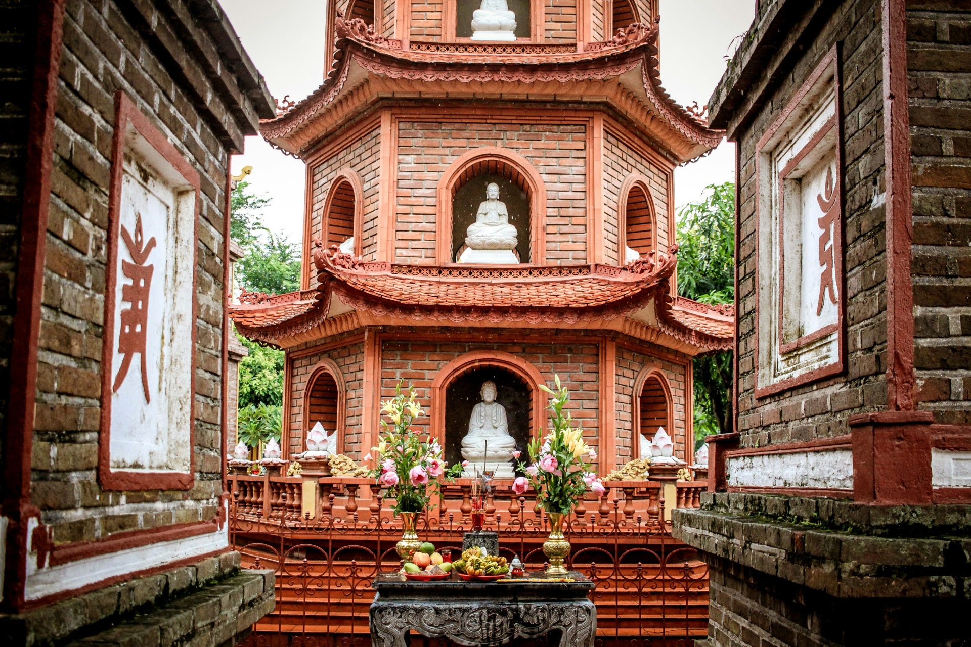 frida-aguilar-estrada-7sU2EsNoIvg-unsplash